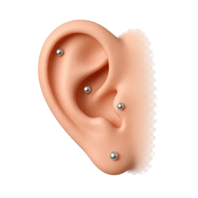 Ear with lobe, helix, tragus and conch studs