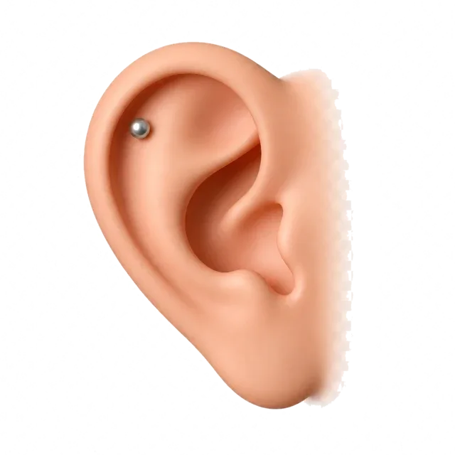 Ear with a cartilage stud